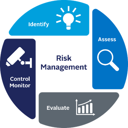 Visual of risk management process